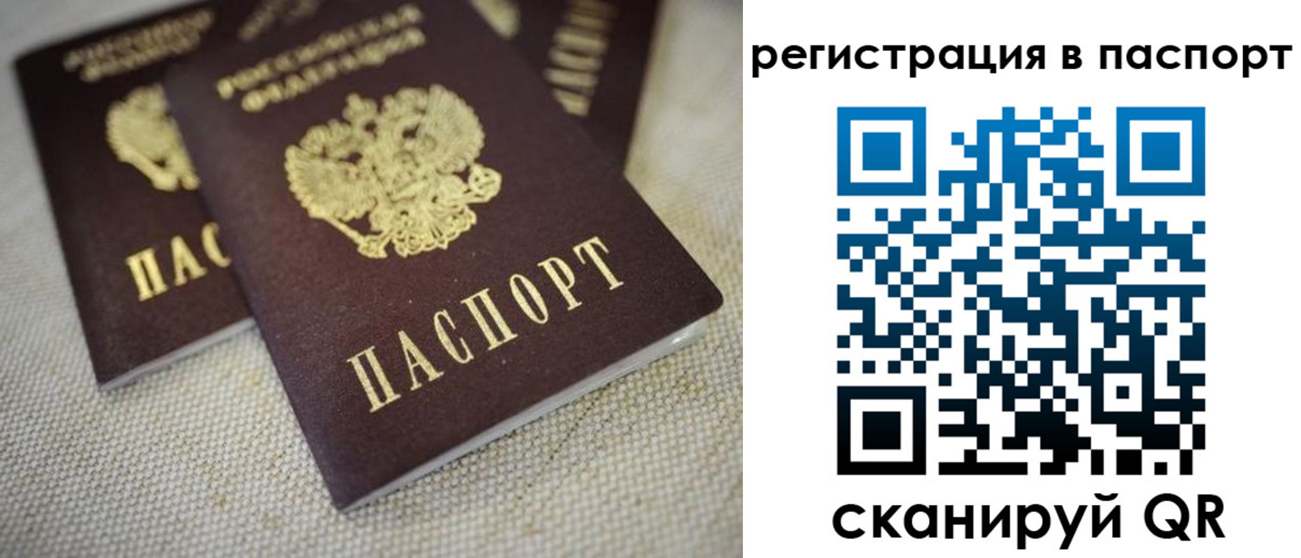 прописка гарантия в Тосно